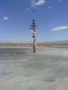 This post with direction and distances to all kinds of places was in the desert