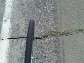 From left to right: road's edge line, my front wheel, piece of grass blowing the wrong way.
